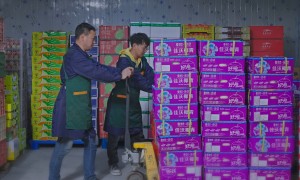 湖北百鲜果园水果店连锁加盟品牌企业实力测评，透明报价服务商汇总