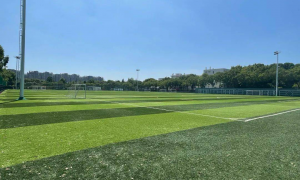 江苏南京全日制自考助学机构排名、靠谱机构怎么选