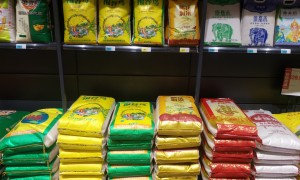 李棋粮油大米批发配送 珍珠米/长粒香 食堂及食品加工厂适用