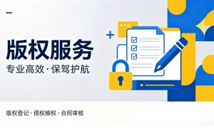 2026年绘画作品版权保护服务商合作实力参考