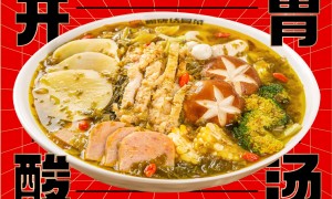 2026年四川想做能快速起量的餐饮加盟品牌，用户力荐实力公司