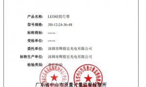 广东SMD贴片硅胶灯带生产厂家推荐，2026年靠谱源头工厂选购参考汇总