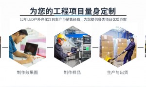 2026年太阳能抱树灯行业现状与正规厂家选择指南