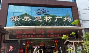 东莞桥头添美艺术漆门店选购指南：本地口碑好的服务商