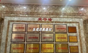 东莞常平添美装饰材料商场：选木门找哪家建材店实力参考