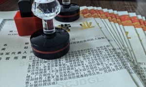 2026年口碑好的园林行业注册公司供应商实力参考