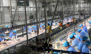 河南 北京烤鸭产业全产业链企业合作推荐 公司有哪些