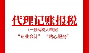 2026年纳税申报代办服务公司哪家专业，知名服务商推荐