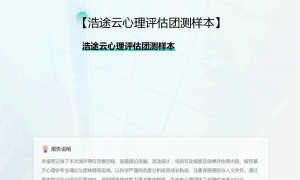 2026年心理测评云服务商 专业团队跟进机构选择指南