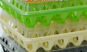 2026年广受信赖的透气镂空鸡蛋盒加工厂挑选全攻略