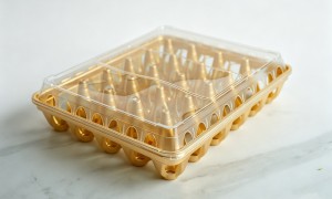商用鸡蛋托定制，九顺科技为您打造专属方案