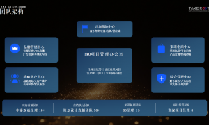 海外设点供应商本地化落地支持，含财税代账与年度审计报告出具服务