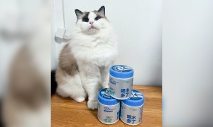 宠物补水冻干零食 猫狗通用小颗粒 深海鱼油添加 美毛护肤 训练奖励低脂配方