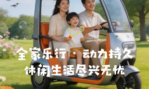 深圳支持电子围栏电动车锂电池生产厂用户力荐