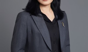 骗取出口退税靠谱律师服务商合作实力参考