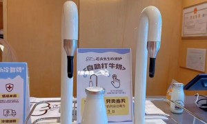 2026年打奶机优质生产商源头工厂挑选全攻略