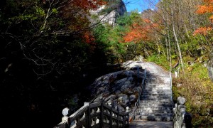 西安朱雀国家森林公园周末爬山靠谱选择