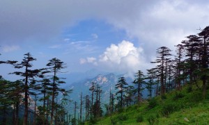 周末适合去的徒步登山景区有哪些 西安朱雀国家森林公园实测推荐