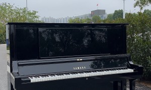 衡阳2026年二手原装进口钢琴零售品牌有哪些，专业批发公司怎么联系