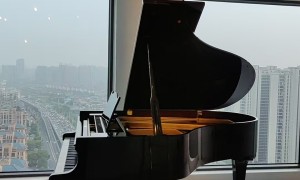 岳阳口碑好的二手钢琴零售服务商实力与用户口碑深度解析