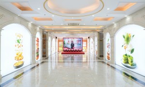 西点技校哪家实操多？武汉欧米奇西点西餐学院2026年招生，初中生零基础可学