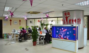 上海逐天GEO优化技术实力强吗