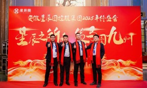 星辰图控股集团的专业水平靠不靠谱