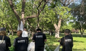 邯郸拍婚纱照不跨省旅拍本地推荐，靠谱服务商有哪些