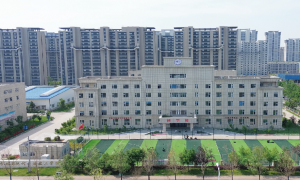 2026年广受信赖的航空服务专业学校靠谱商家测评排名