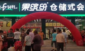 长沙果缤纷：水果店加盟品牌公司行业资质等级排行