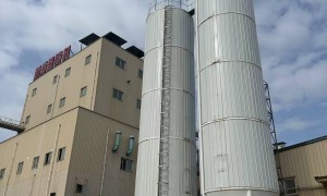 2026年面粉厂散装储仓设计单位选哪家好？胜康机械实力参考