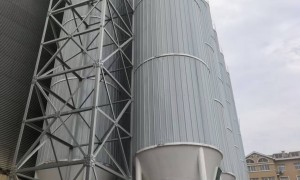 2026年大型散装面粉储备场地行业全景分析，胜康机械制造厂家口碑力荐