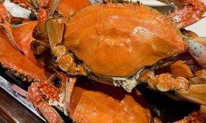 2026年天津河东区正规海鲜烧烤店有哪些？实力与用户口碑深度解析