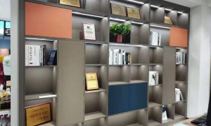 北京支持先看样再下单的衣柜定制工厂 伊美安大展厅实力推荐