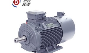 上海2026年贝得电机生产厂家行业选择指南
