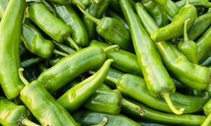 2026年工厂食堂配送供应商避坑挑选指南