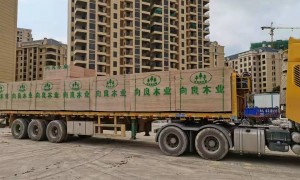 2026年江西区域全国范围做建筑胶合板的批发工厂挑选全攻略