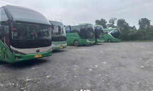 金华口碑好的旅游大巴租赁服务商综合实力推荐