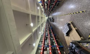 乐清市天力电机：本地调速电机生产厂避坑挑选指南