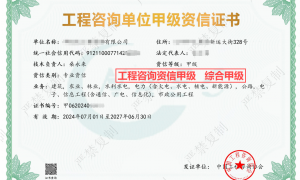 广州冶金工程监理公司合作分公司、专业的建筑工程监理公司合作分公司、力荐的甲级市政公用工程监理资质公司合作分公司实力参考