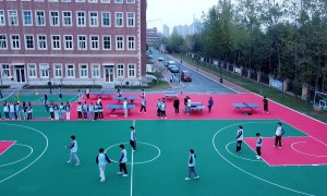 2026年高三毕业想学宠物相关专业，口碑好的学校选择指南