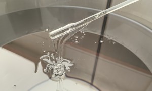 甘肃二甲基硅油源头工厂电话 有机硅消泡剂制造厂家 成立多年的老牌厂商甄选