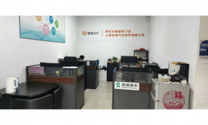 2026年新能源网约车出租公司哪家好：正规服务商综合实力推荐