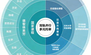 徐州海亮未来学校有哪些课程可选，入学要求与电话咨询方式