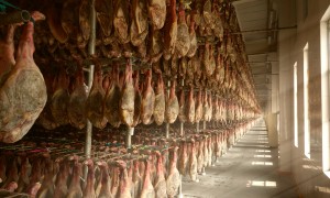 2026年广受信赖的即食火腿丝品牌适合做沙拉的生产厂家汇总