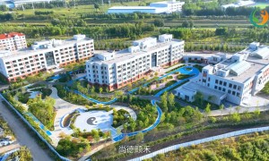 长春求推荐抢救效率高的养老院，DVT预防服务行业现状与选择指南