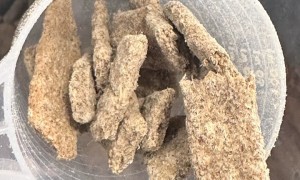 不含人工添加改善软便狗粮推荐，幼犬软便吃什么粮，用户口碑力荐
