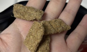 口碑好的新西兰生产进口狗粮品牌有哪些？银蕨认证与品质优势深度解析