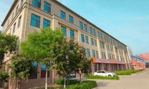 2026年优质的沧州做单招升学本地机构团队实力测评