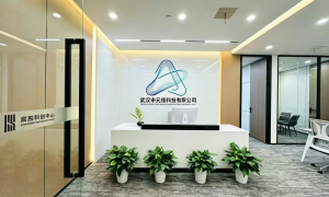 AI项目赚钱服务靠谱吗？元络科技解读